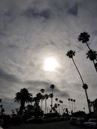 Silhouette palm trees against sky during sunset