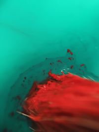 High angle view of red liquid pouring in water