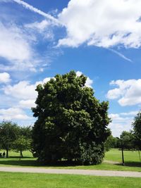 Trees on grassy field against cloudy sky