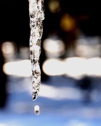 Close-up of icicles