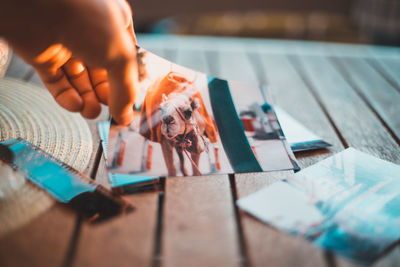 Cropped hand of person holding camel photograph at table