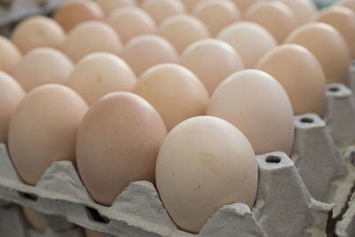 Close-up of eggs