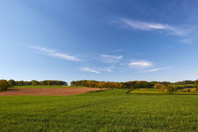 Scenic view of agricultural field against sky