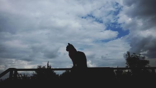 Low angle view of silhouette tree against cloudy sky