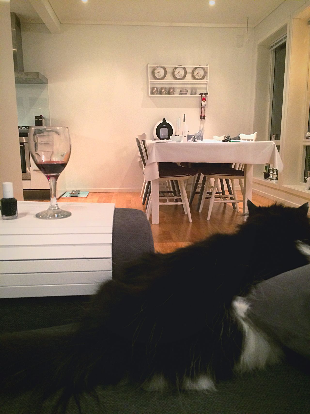 Cat and wine