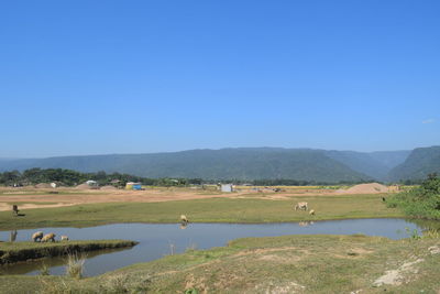 Scenic view of landscape against clear blue sky