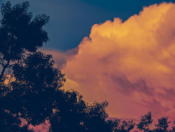 Low angle view of tree against dramatic sky