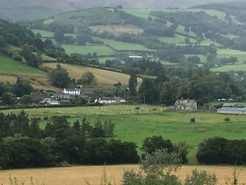 Scenic view of agricultural landscape