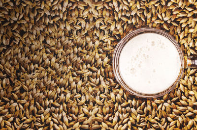 High angle view of beer glass