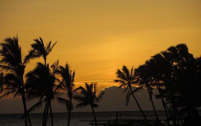 Silhouette palm trees on beach against clear sky at sunset