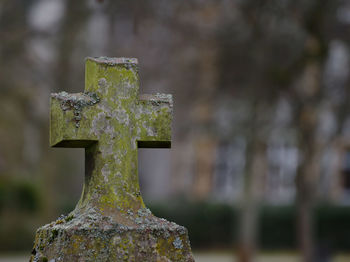 Close-up of cross in cemetery