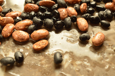 Dry pinto and black beans 