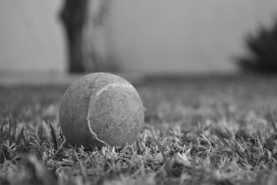 Close-up of ball on field