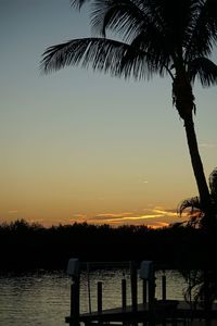 Silhouette palm tree by sea against clear sky