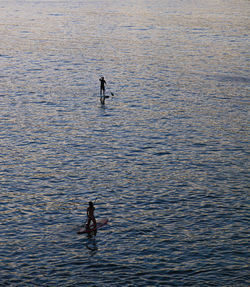 High angle view of people in sea practicing paddle