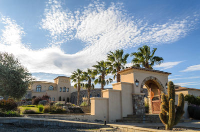 Cafayate vineyard in salta, argentina.