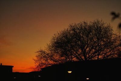 Silhouette bare tree against sky during sunset