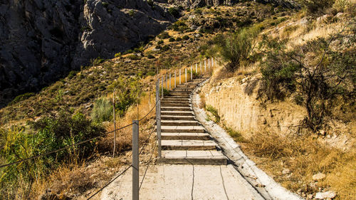 Narrow stairs along landscape