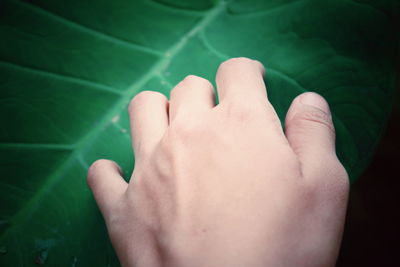 Cropped hand touching leaf