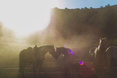 Group of people riding horse