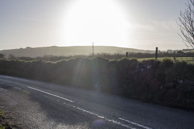 Road amidst plants against sky
