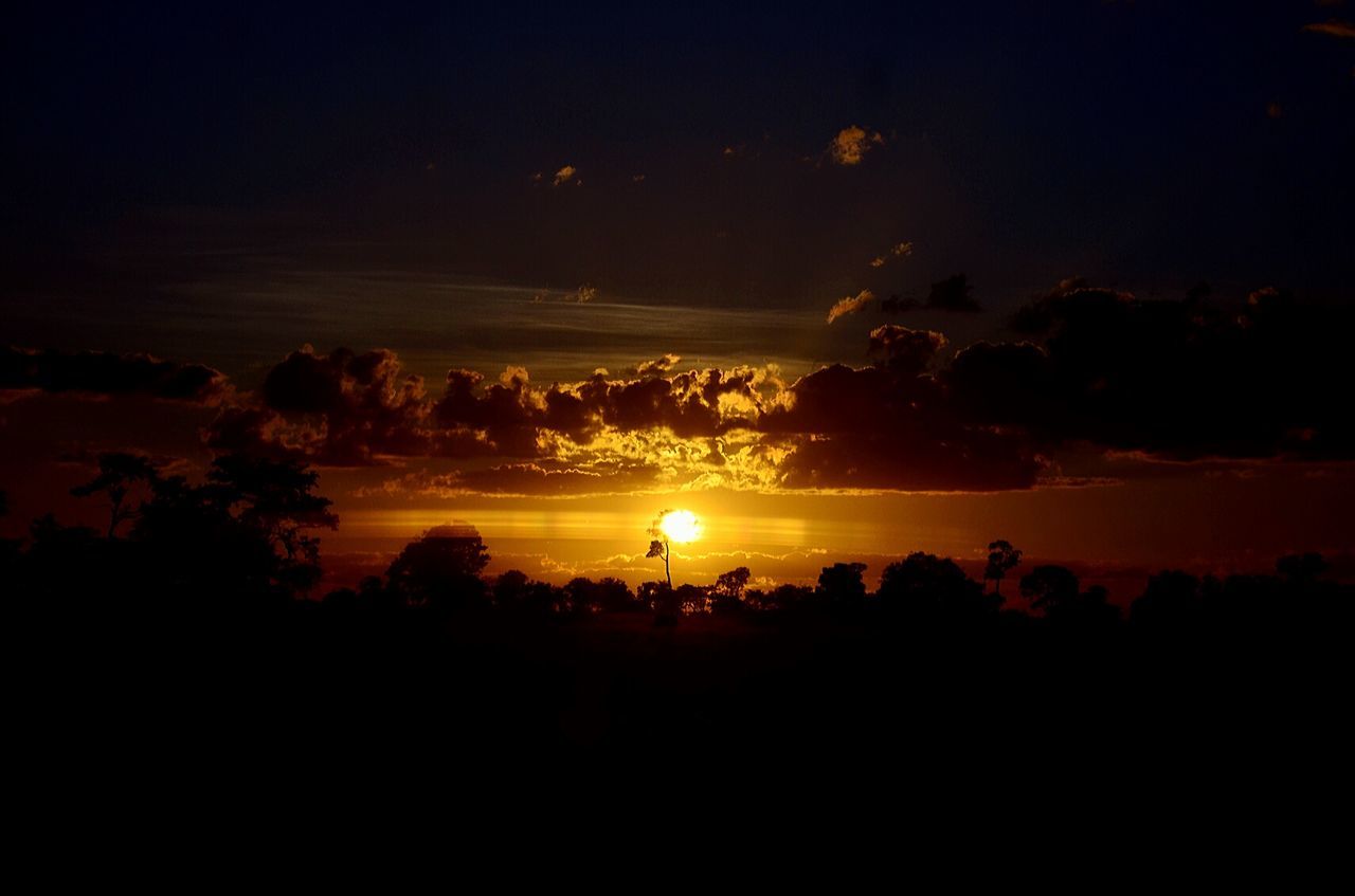 silhouette, sunset, scenics, tranquil scene, beauty in nature, tranquility, sky, tree, sun, nature, idyllic, landscape, dark, orange color, cloud - sky, copy space, outdoors, majestic, sunlight, outline