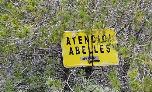 Information sign on wall