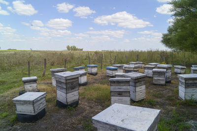 High angle view of bee field