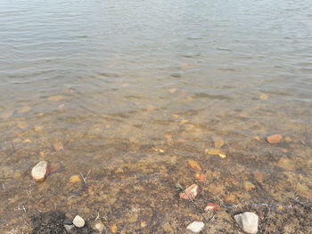 High angle view of beach