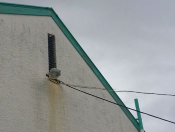 Low angle view of lizard on bridge against sky