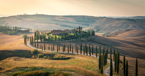 Sunset over the winding road with cypresses. typical avenue, soft summer light, tuscany, italy.