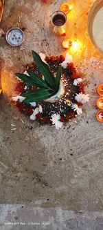 High angle view of water lilies in container