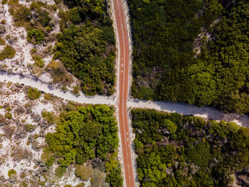 High angle view of plants growing on land