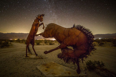 Horse in park against sky at night