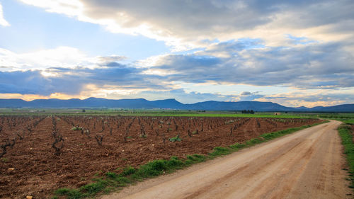 Dirt road amidst agricultural field against sky