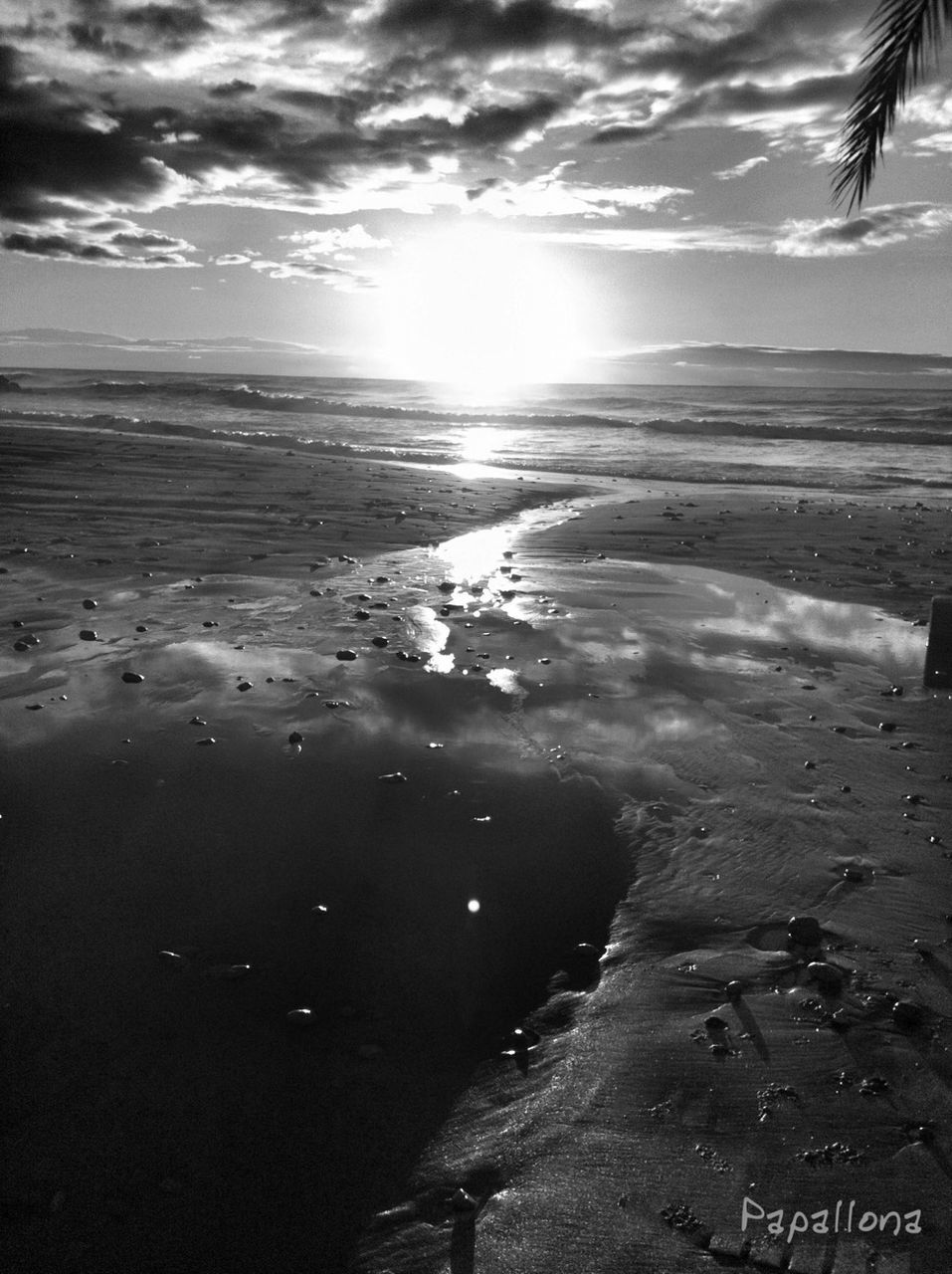 beach, water, sea, shore, sky, sand, tranquil scene, tranquility, scenics, beauty in nature, horizon over water, sunlight, nature, sun, cloud - sky, reflection, coastline, idyllic, wave, cloud