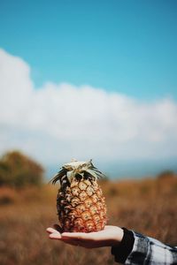 Close-up of person holding pineapple against sky