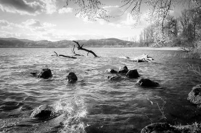 Fallen tree trunk in lake against sky