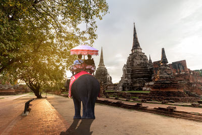 Rear view of man outside temple on building