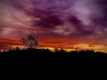 Silhouette trees against dramatic sky during sunset