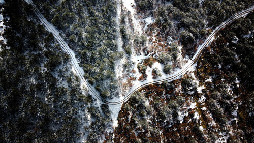High angle view of road amidst trees during winter