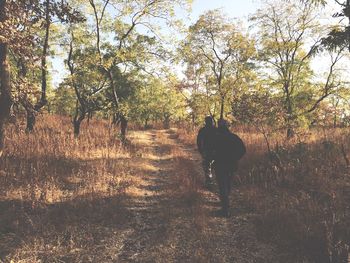 Silhouette of trees against sky during sunset