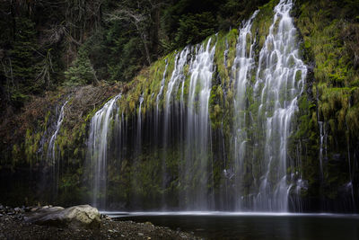 Scenic view of waterfall in forest