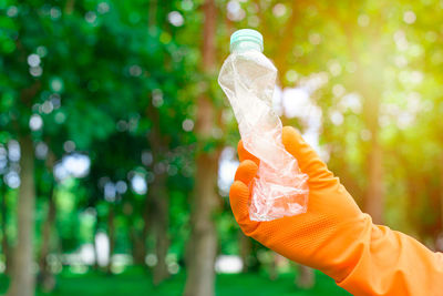 Close-up of hand holding bottle