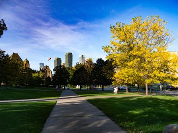 Trees in park against sky during autumn