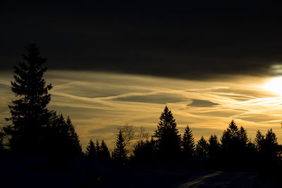 Silhouette trees against sky during sunset