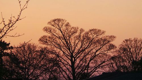 Low angle view of silhouette trees against sky at sunset