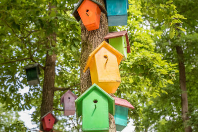 Low angle view of birdhouse against trees