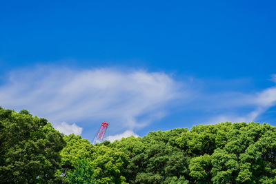 Low angle view of plants against blue sky