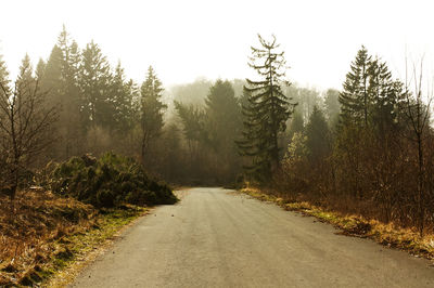 Road amidst trees in forest against sky